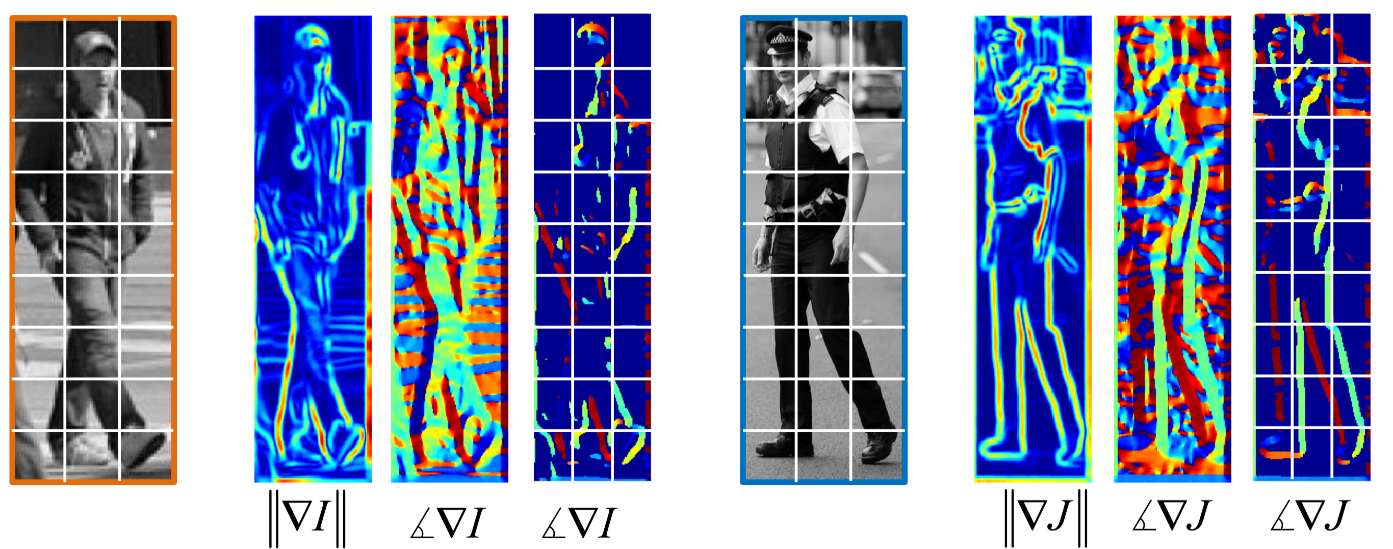 gradient distribution