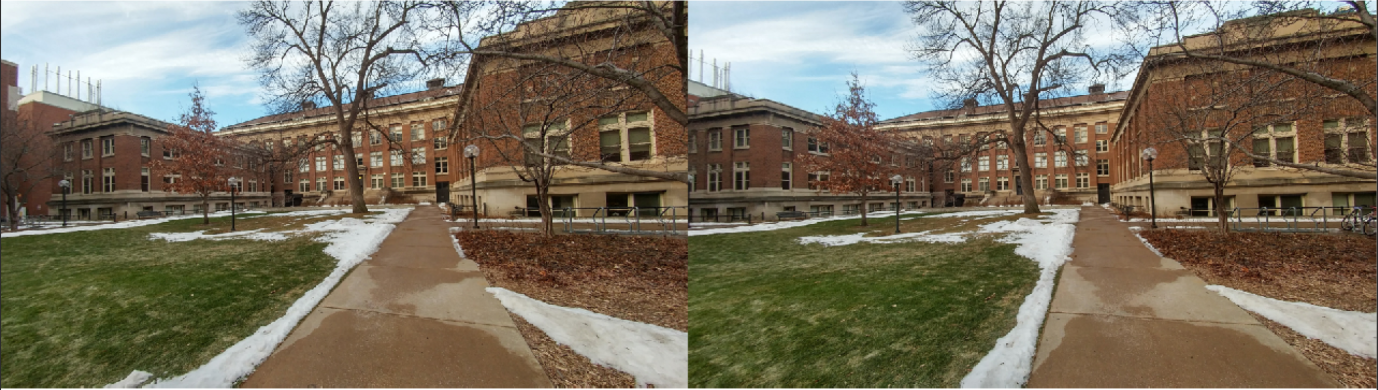 Rectified Stereo Images